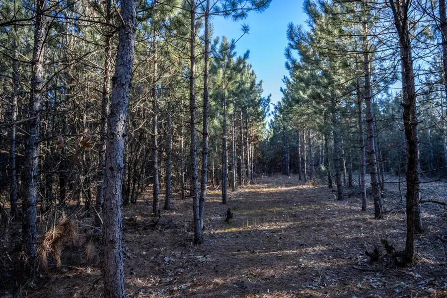 Lot 4 11th Drive, Friendship, WI 53934 - #3