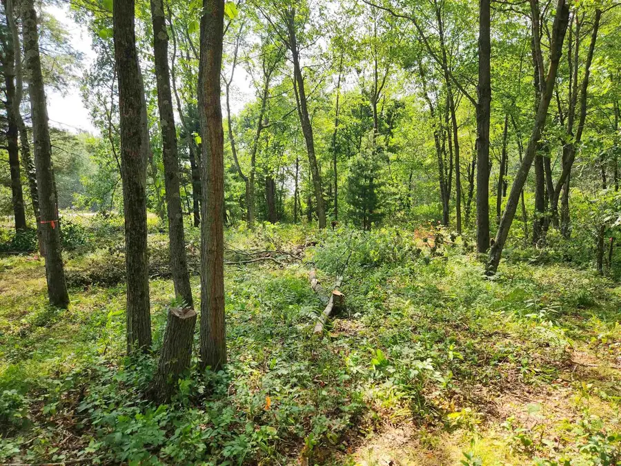 State Road 21 Road, Redgranite, WI 54970 - #3