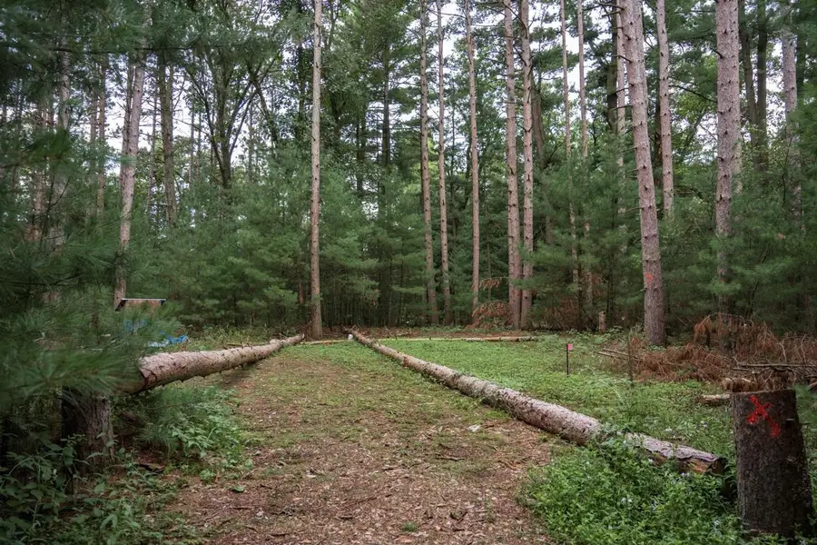W1519 Rainbow Lane, Wisconsin Dells, WI 53965 - #3