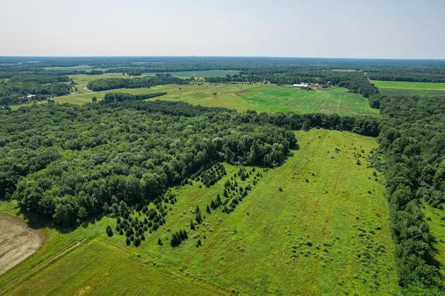 11901 Sparks Road, Pittsville, WI 54466 - #3