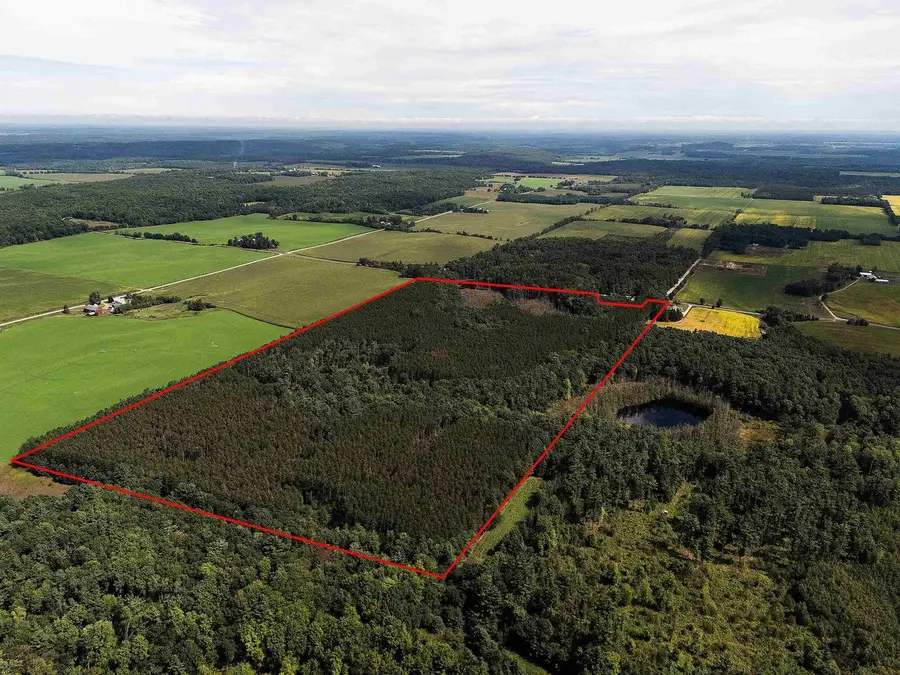 77 +/- Acres Tomorrow River Road, Amherst, WI 54407 - #2