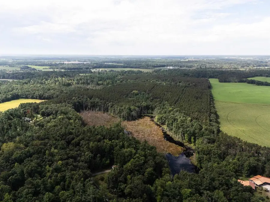 77 +/- Acres Tomorrow River Road, Amherst, WI 54407 - #3