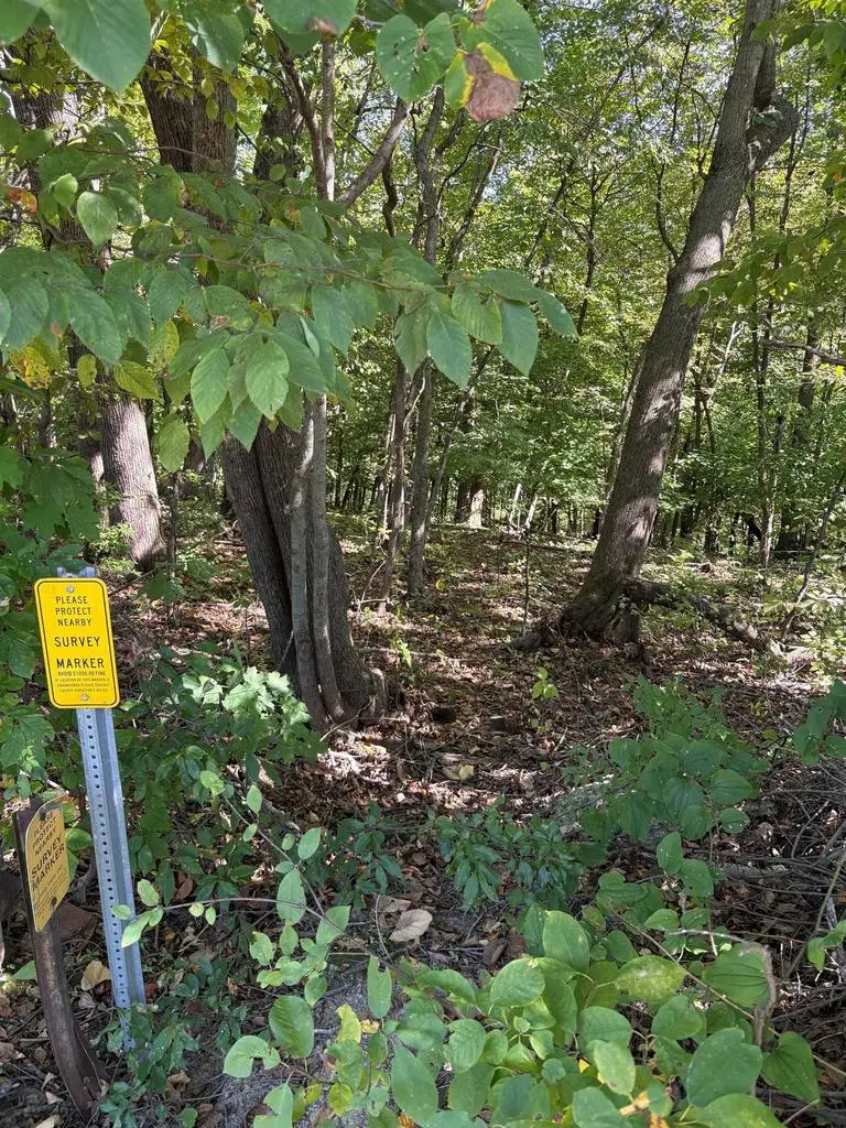 0 Opals Lane, Gays Mills, WI 54631 - #3
