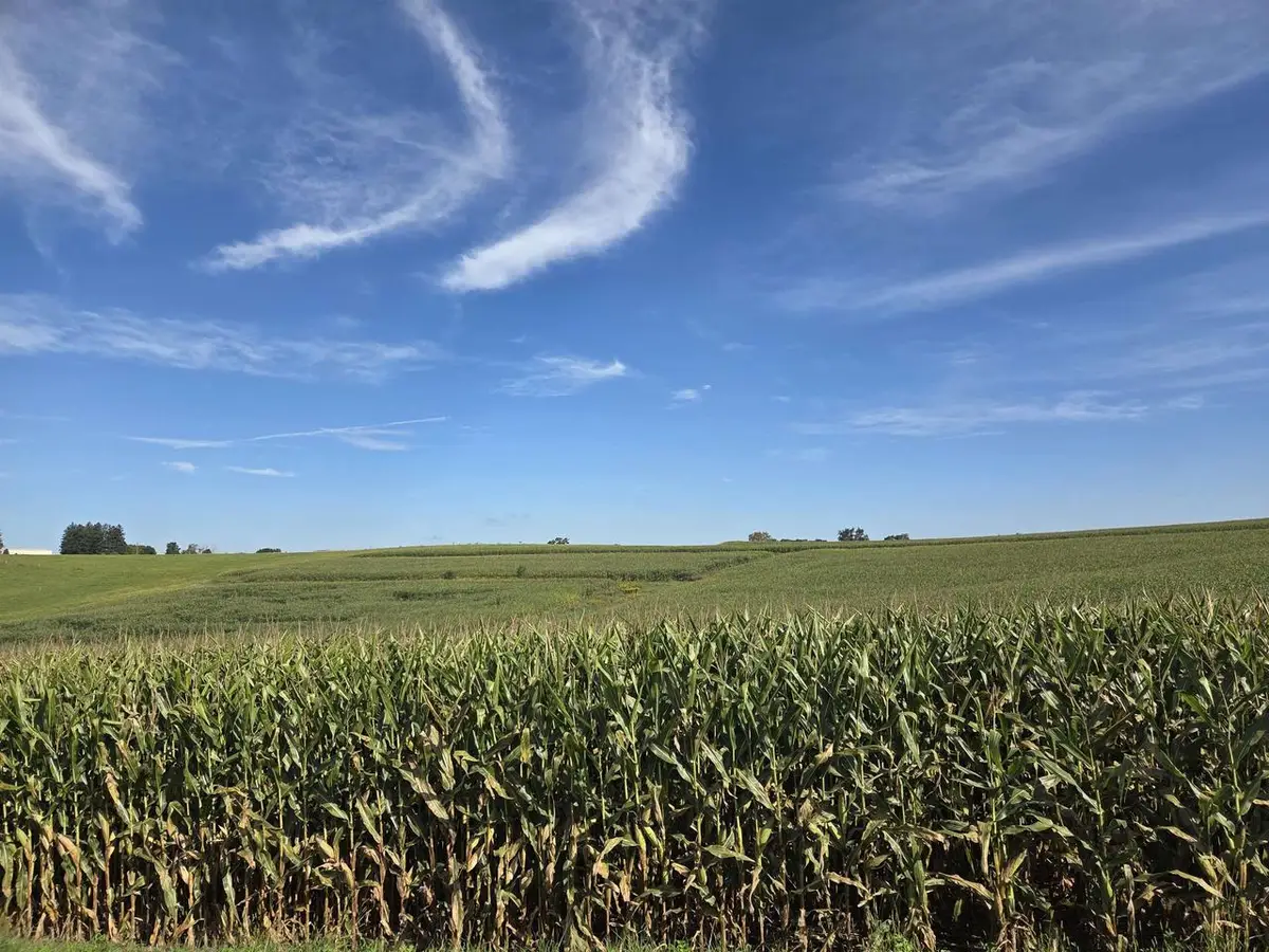 0000 Ridge Road, Viroqua, WI 54665 - #1
