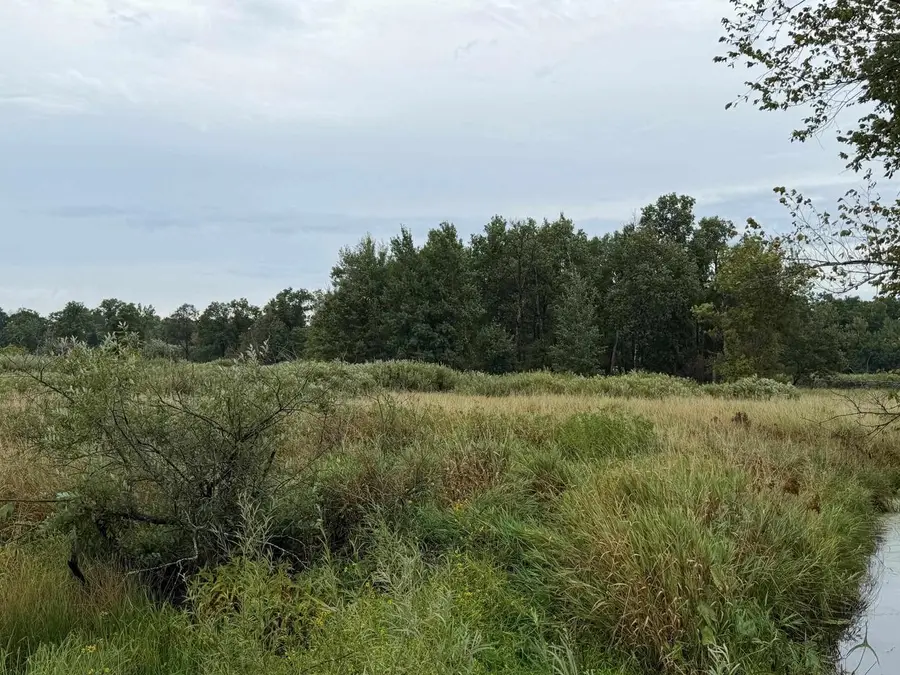 40 AC W 23rd Street, Necedah, WI 54646 - #3