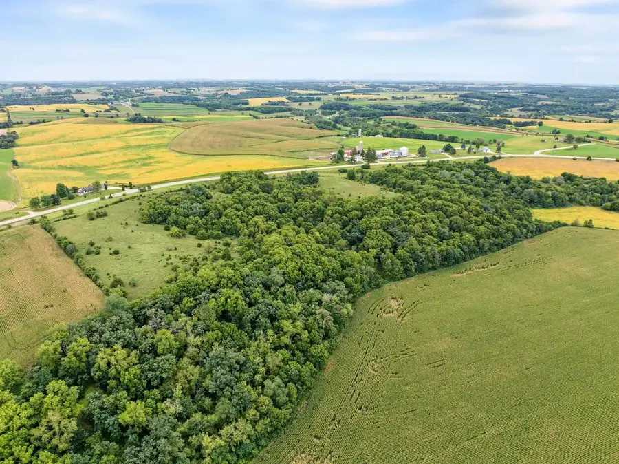 40 +/- Acres Highway 81, Argyle, WI 53504 - #2