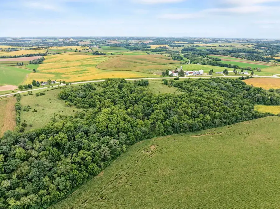 40 +/- Acres Highway 81, Argyle, WI 53504 - #3