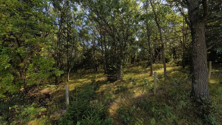 45.86ac County Rd M, Westfield, WI 53964 - #2