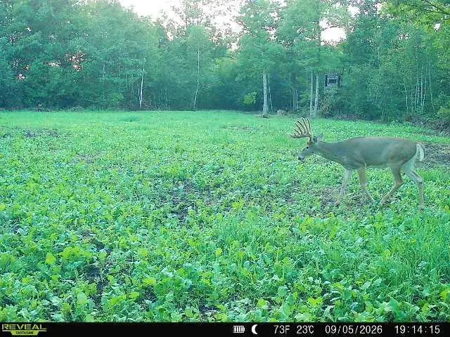 68+/- Acres Badger Avenue, Granton, WI 54436 - #3