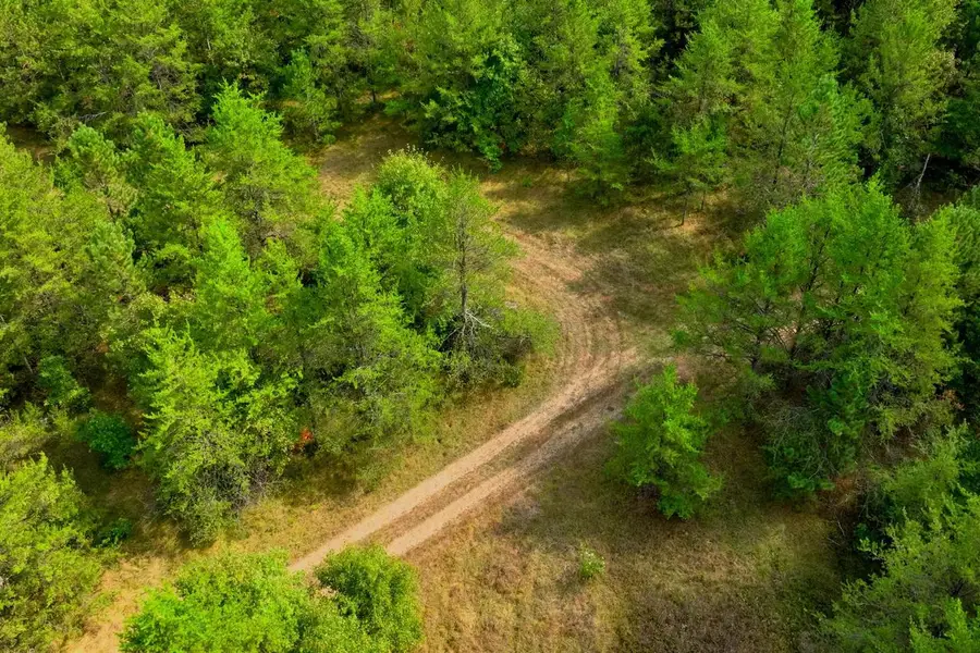 40+/- AC Horse Creek Rd Acres, Bridge Creek, WI 54729 - #2