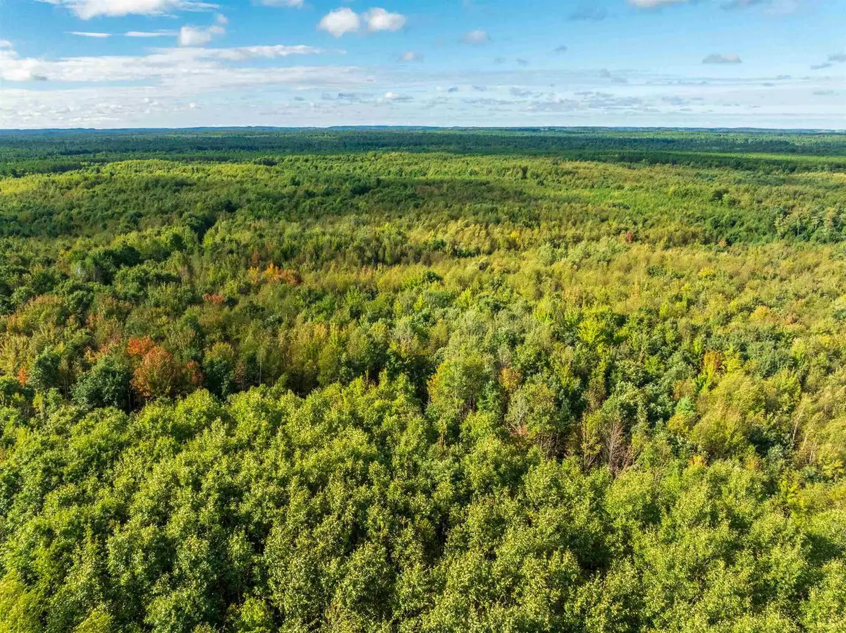 204.74 AC Channey Rd Acres, Bridge Creek, WI 54729 - #1