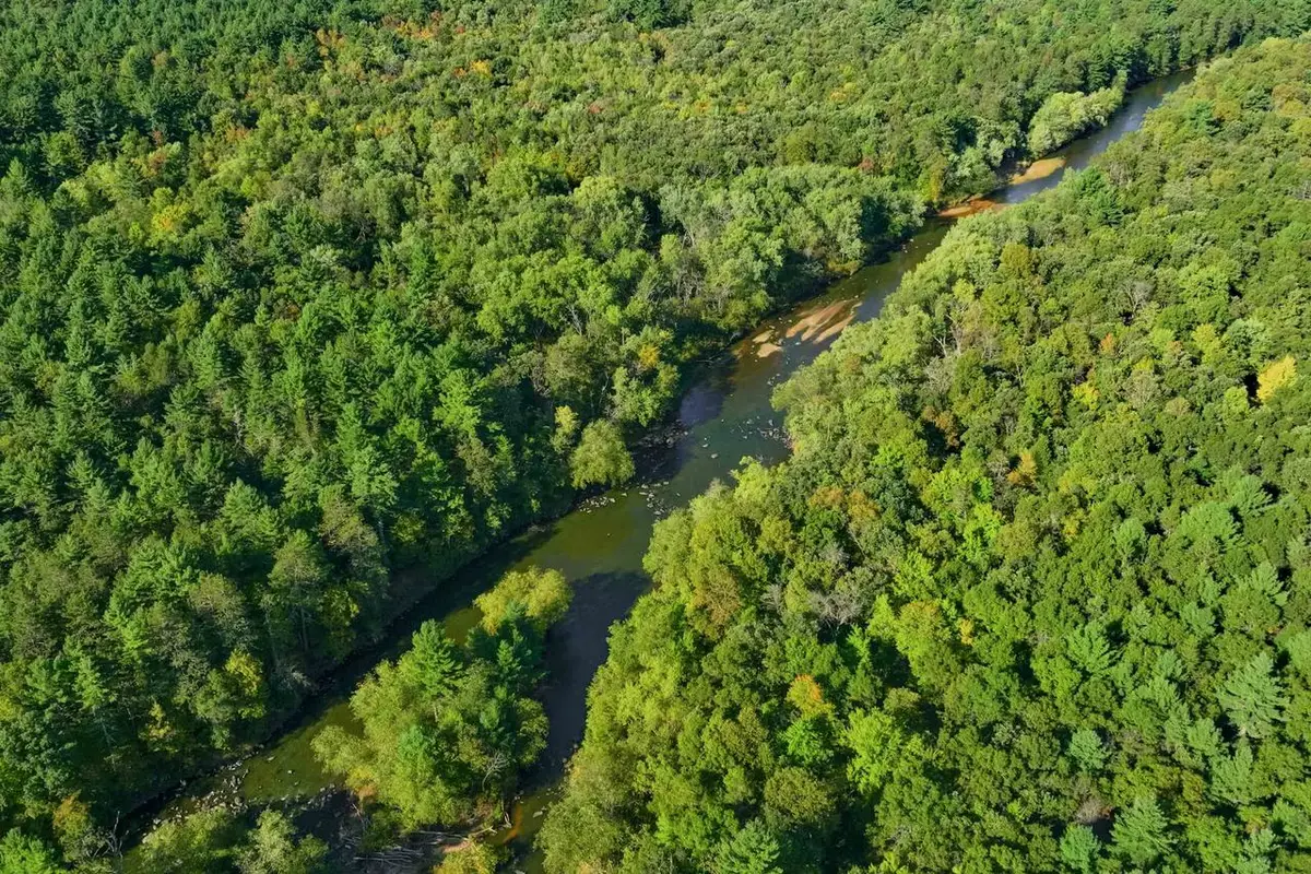 200AC Channey Rd Acres, Bridge Creek, WI 54729 - #1