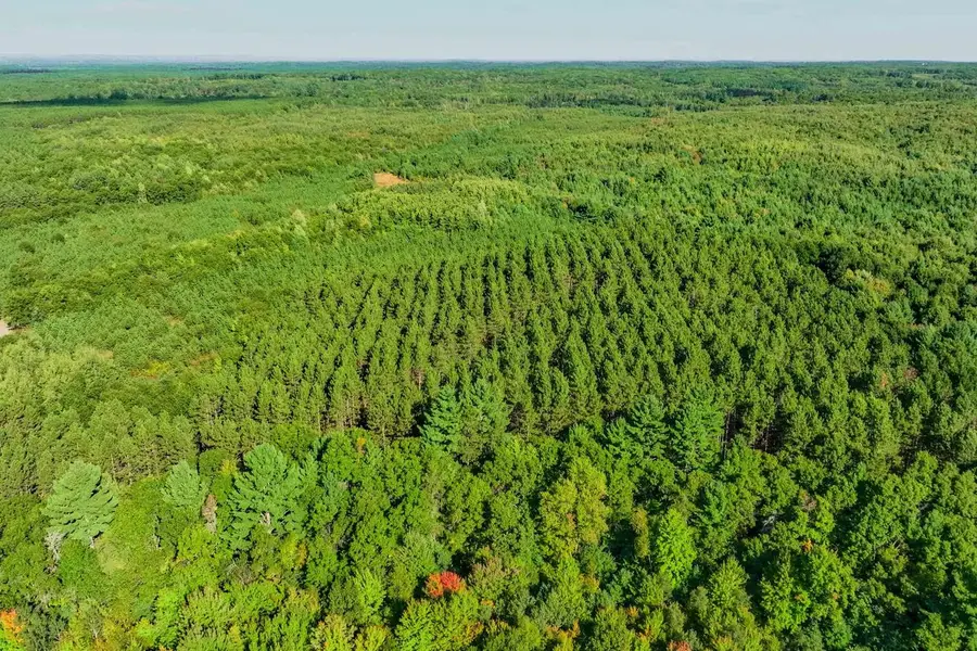 200AC Channey Rd Acres, Bridge Creek, WI 54729 - #3