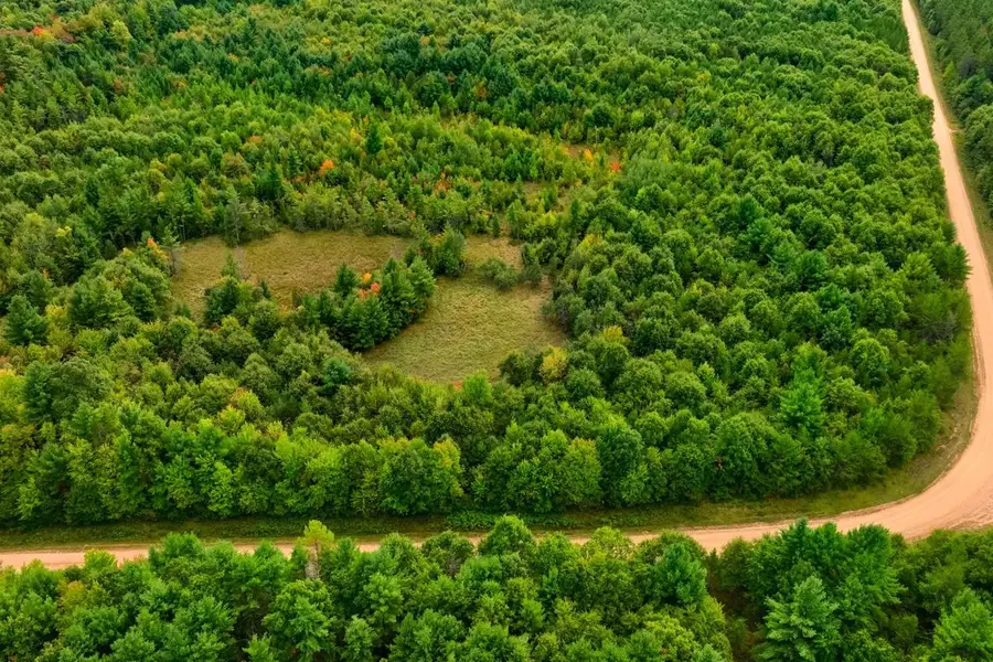 84+/- AC Horse Creek Rd Acres, Bridge Creek, WI 54729 - #3