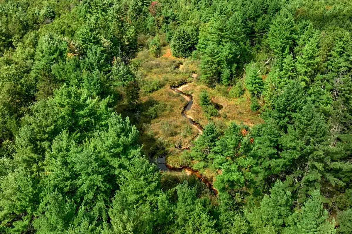 160+/- AC Goat Ranch Rd Acres, Bridge Creek, WI 54729 - #1