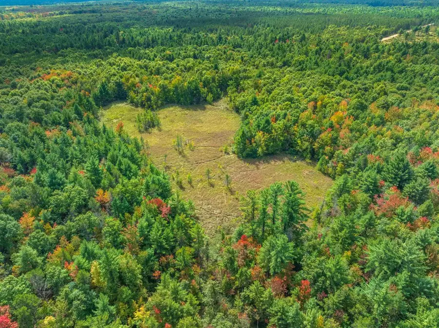 160+/- AC Goat Ranch Rd Acres, Bridge Creek, WI 54729 - #2