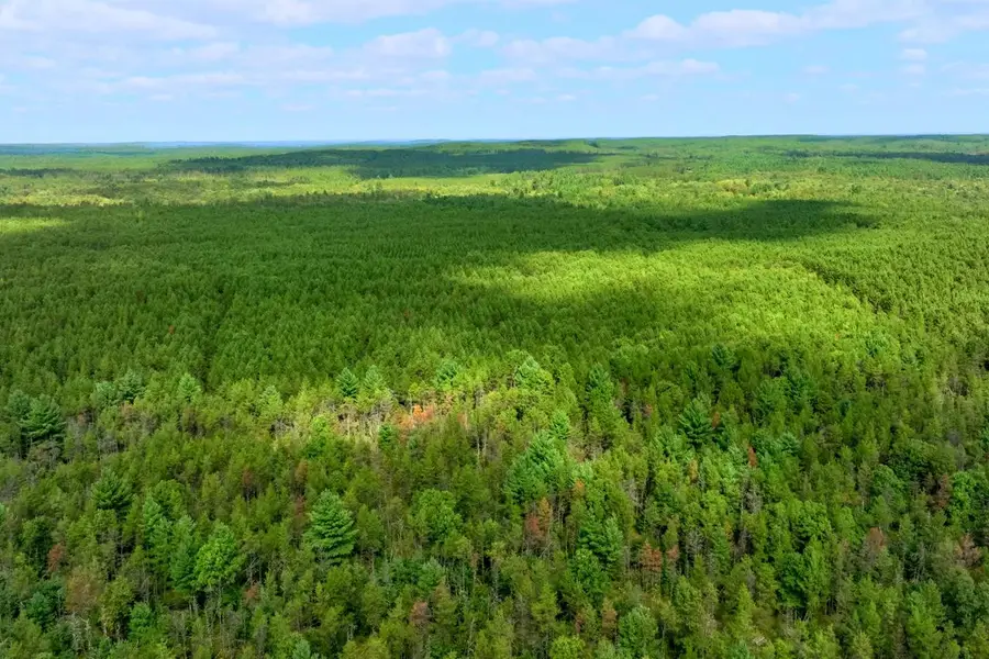 43+/- AC Horse Creek Rd Acres, Bridge Creek, WI 54729 - #3