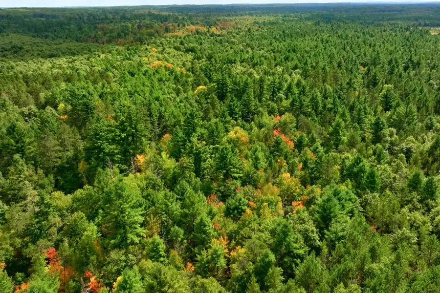 80+/- AC County Rd H/Horse Creek Rd Acres, Bridge Creek, WI 54729 - #3