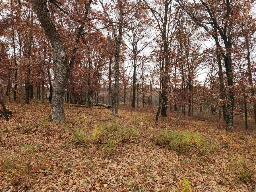 521 Cottonville Avenue, Friendship, WI 53934 - #3