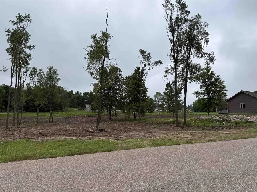 Lot 6 NICHOLAS AVENUE, Wittenberg, WI 54499 - #2