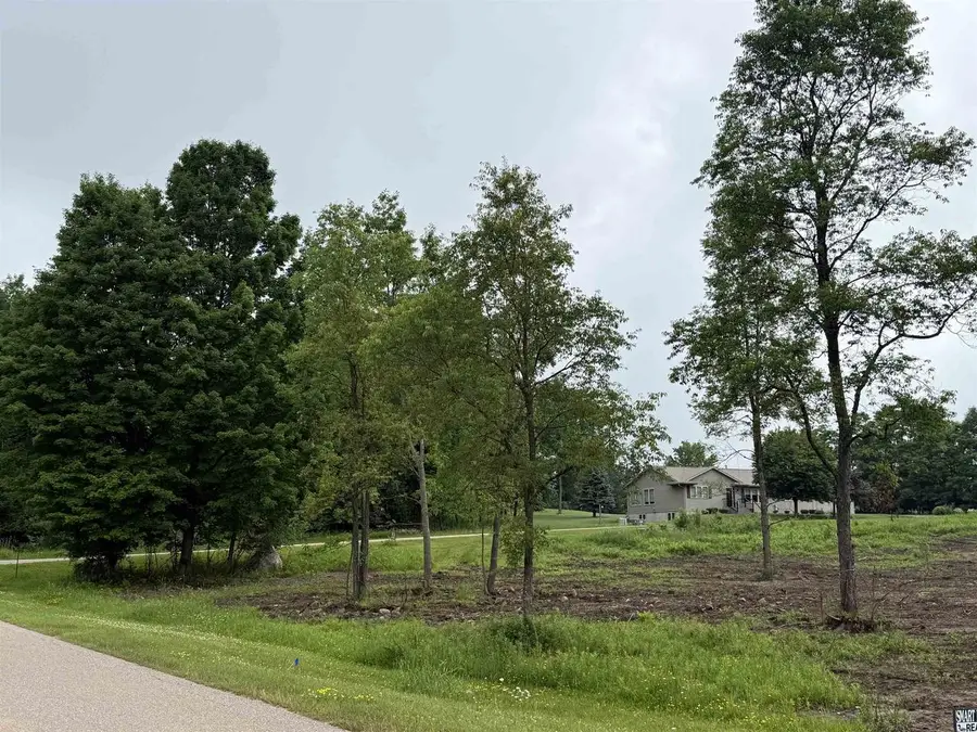 Lot 14 JASON STREET, Wittenberg, WI 54499 - #2
