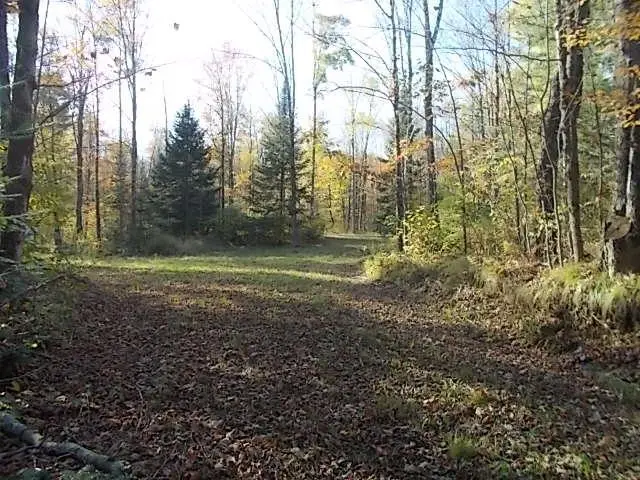 #1