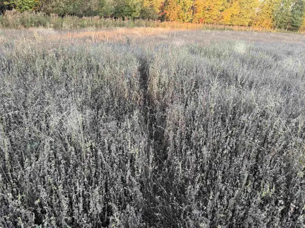 Lot 3 EAU CLAIRE RIVER ROAD, Aniwa, WI 54408