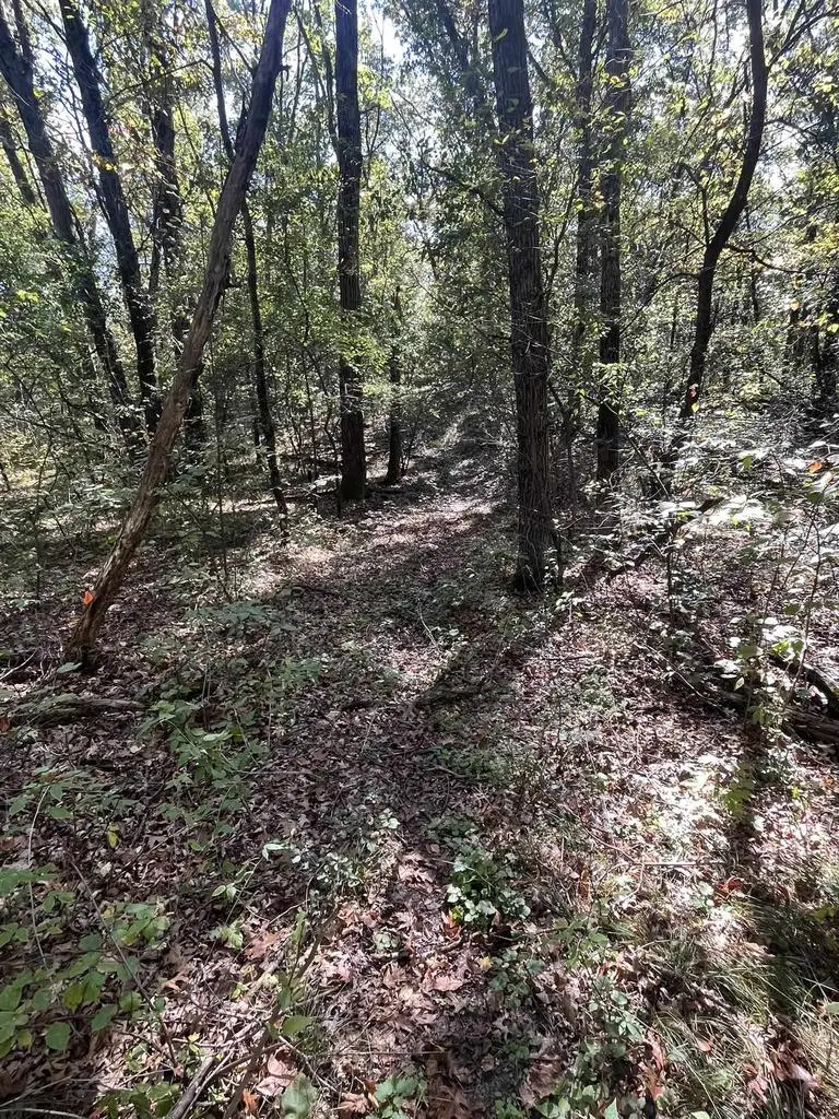 #3