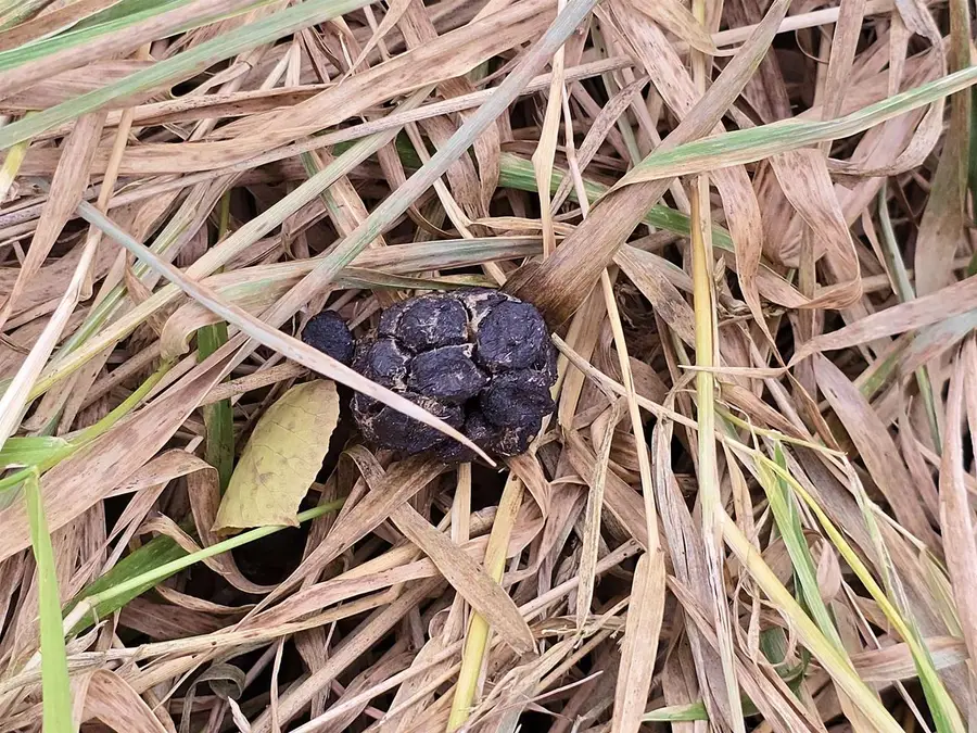 4.89 Acres At N GALVIN AVENUE, Marshfield, WI 54449 - Image #3