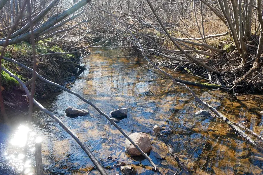 +/-21.5 Acres COUNTY ROAD M, Rib Lake, WI 54470 - Image #3