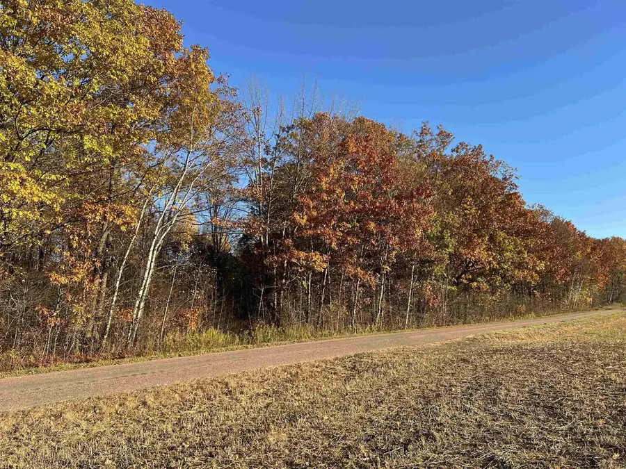 40 acre TRYBA ROAD, Hatley, WI 54440 - Image #3