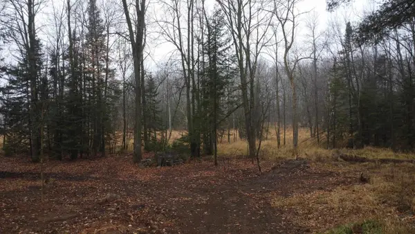 N10595 STATE HIGHWAY 45, Birnamwood, WI 54414