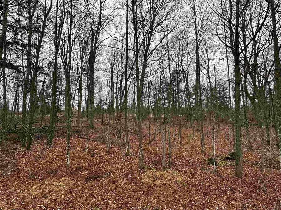 Lot 36 FAIRWAY DRIVE, Pickerel, WI 54465 - Image #2