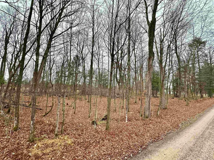 Lot 36 FAIRWAY DRIVE, Pickerel, WI 54465 - Image #3