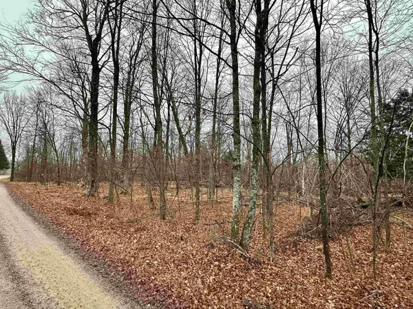 Lot 60 CHIP N DALE DRIVE, Pickerel, WI 54465