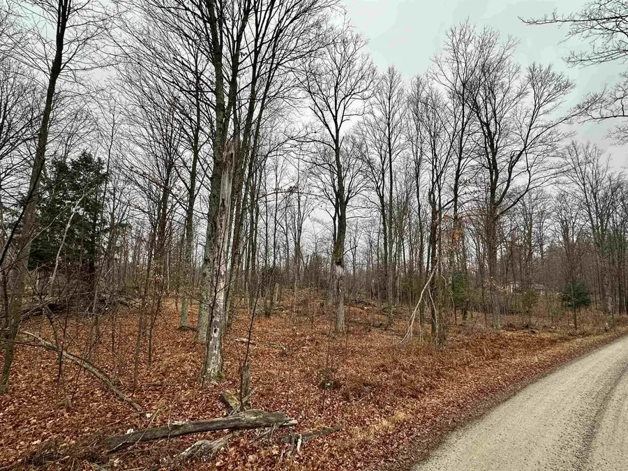 Lot 60 CHIP N DALE DRIVE, Pickerel, WI 54465 - Image #3