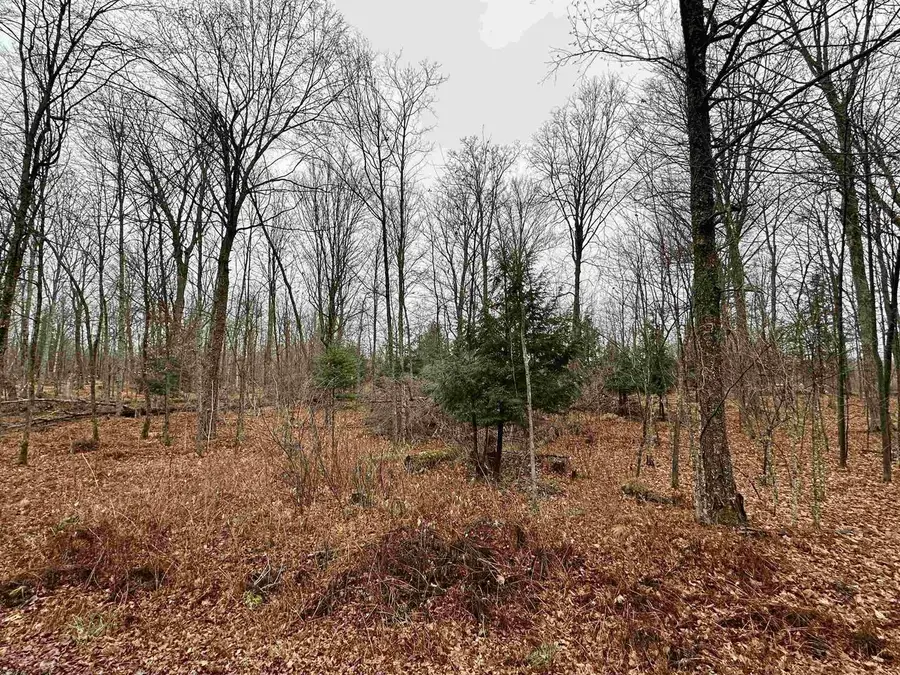 Lot 61 CHIP N DALE DRIVE, Pickerel, WI 54465 - Image #2