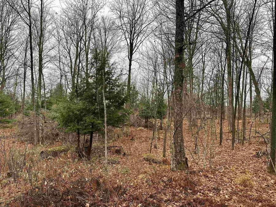 Lot 61 CHIP N DALE DRIVE, Pickerel, WI 54465 - Image #3