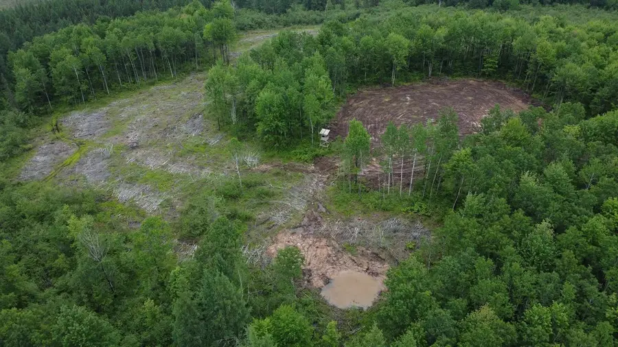 120 Acres STATE HIGHWAY 86, Tomahawk, WI 54487 - Image #2