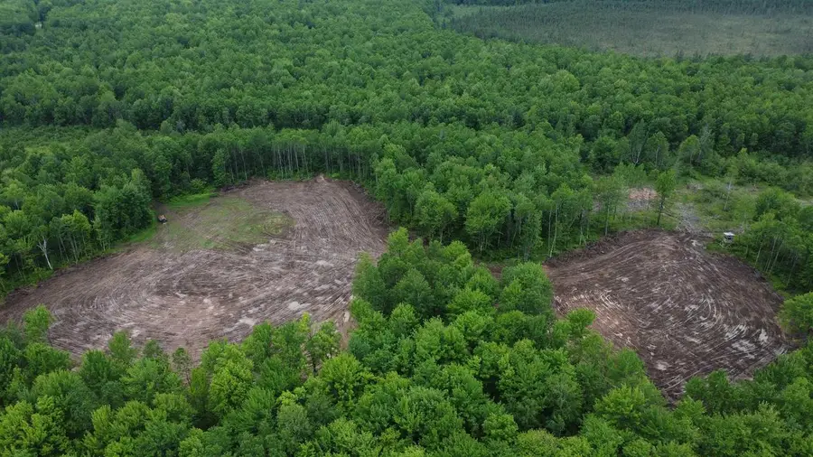 120 Acres STATE HIGHWAY 86, Tomahawk, WI 54487 - Image #3