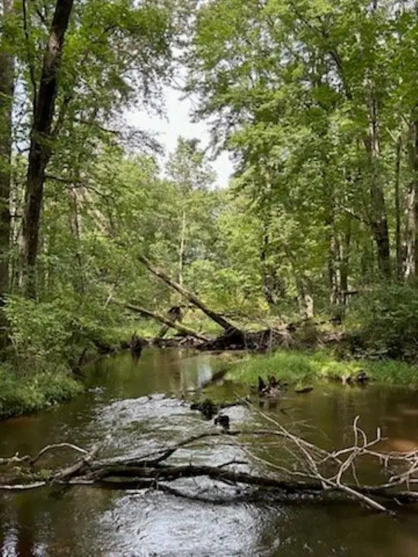 39.94 Acres COUNTY ROAD V, Pittsville, WI 54466