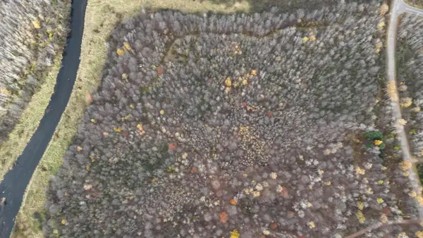 20 Acres OLD STATE HIGHWAY 17, Gleason, WI 54435