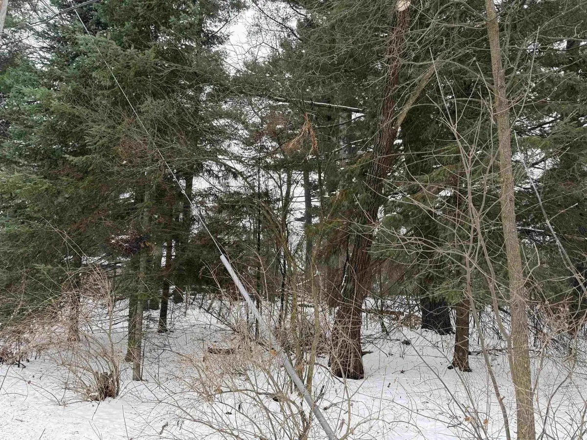 2007 BLOEDEL AVENUE, Weston, WI 54476 - Image #1