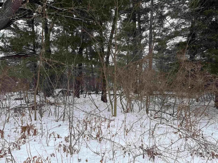 2007 BLOEDEL AVENUE, Weston, WI 54476 - Image #2