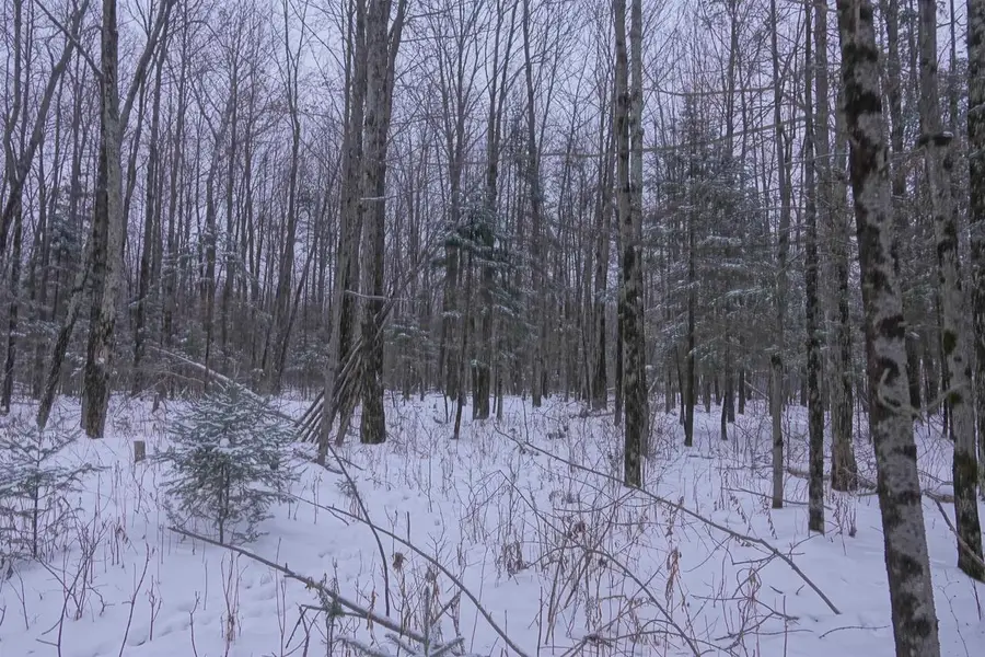 000 HETLAND AVENUE, Rib Lake, WI 54470 - Image #2