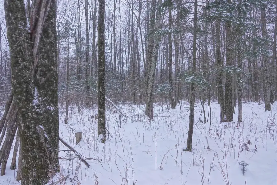 000 HETLAND AVENUE, Rib Lake, WI 54470 - Image #3