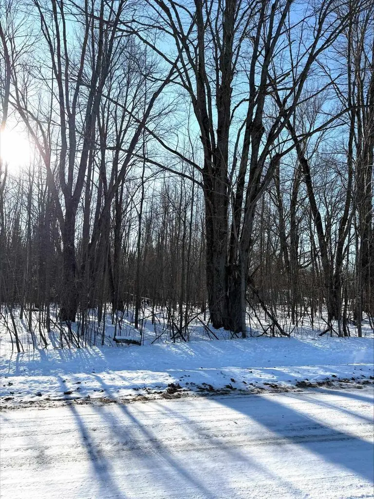 5.7 Acres FOREST ROAD, Kronenwetter, WI 54455 - Image #2