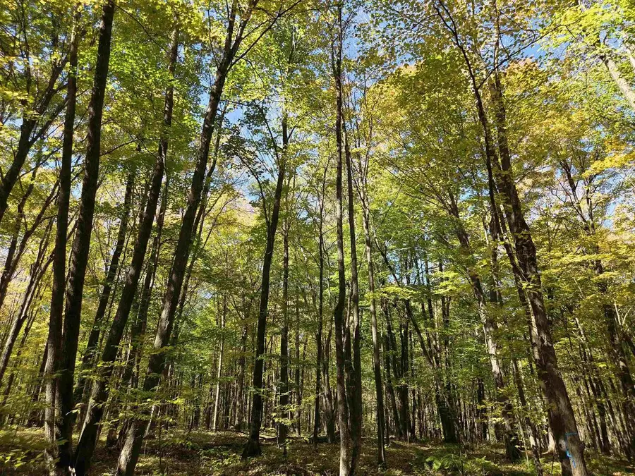 LIBERTY LANE, Kennan, WI 54537 - Image #2