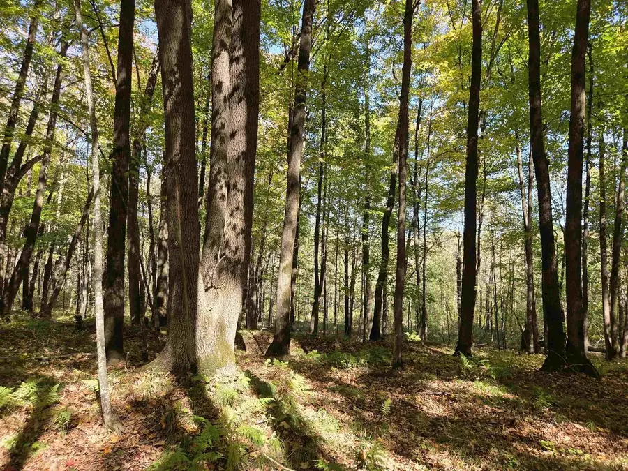 LIBERTY LANE, Kennan, WI 54537 - Image #3