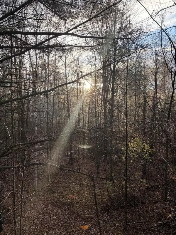 63 Acres BERANEK ROAD, Kronenwetter, WI 54455